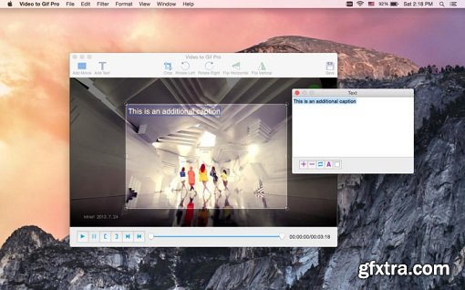 Video to GIF Pro 3.0 (Mac OS X)