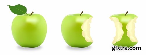 Collection bitten apple trace of teeth fruit vector image 25 EPS