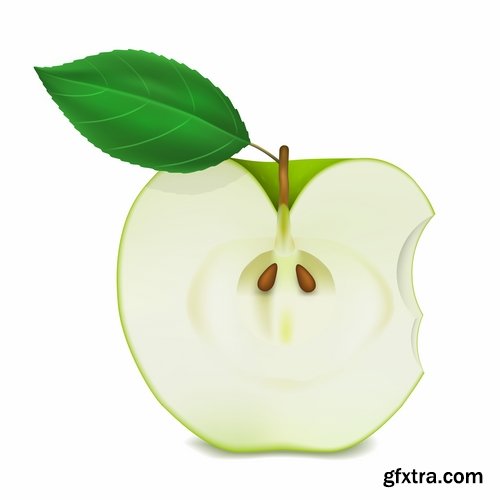 Collection bitten apple trace of teeth fruit vector image 25 EPS