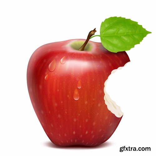 Collection bitten apple trace of teeth fruit vector image 25 EPS