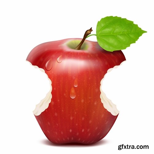 Collection bitten apple trace of teeth fruit vector image 25 EPS