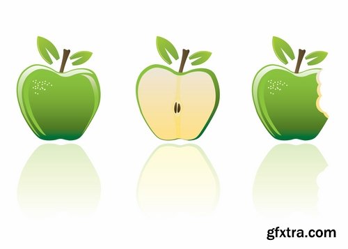 Collection bitten apple trace of teeth fruit vector image 25 EPS