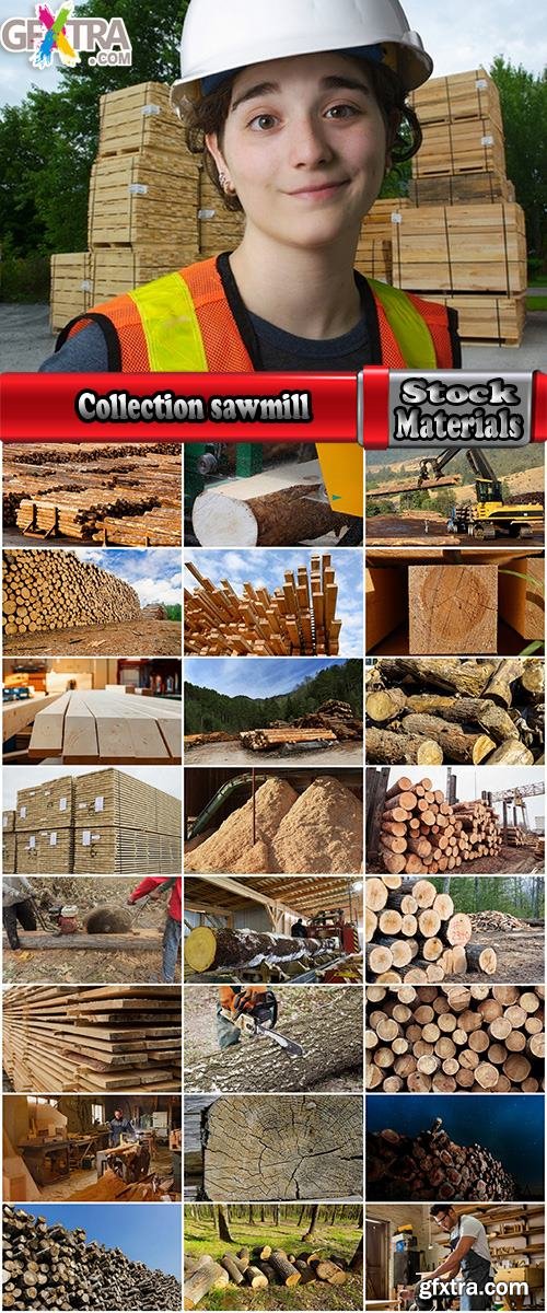 Collection sawmill production of wood a tree felling timber 25 HQ Jpeg