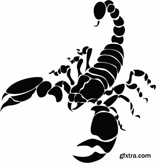 Collection scorpion sting venom arthropod chitin armor carapace vector image 25 EPS