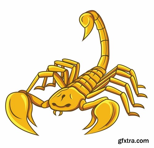 Collection scorpion sting venom arthropod chitin armor carapace vector image 25 EPS