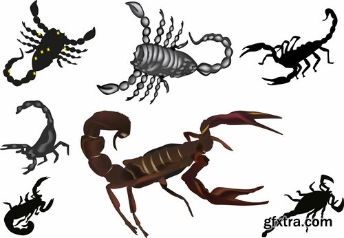 Collection scorpion sting venom arthropod chitin armor carapace vector image 25 EPS