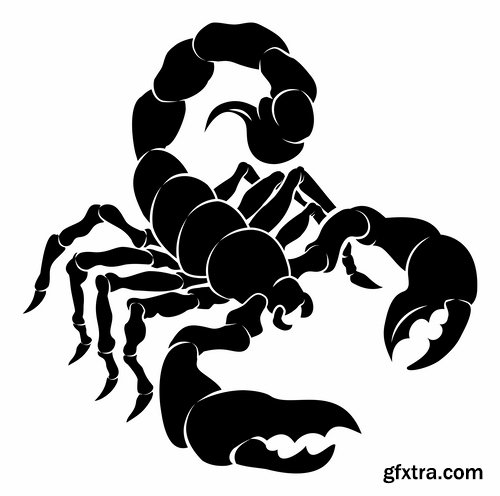 Collection scorpion sting venom arthropod chitin armor carapace vector image 25 EPS