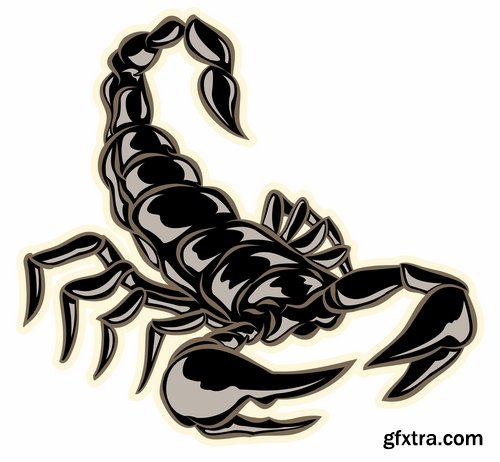 Collection scorpion sting venom arthropod chitin armor carapace vector image 25 EPS