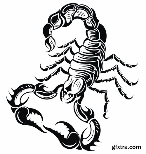 Collection scorpion sting venom arthropod chitin armor carapace vector image 25 EPS