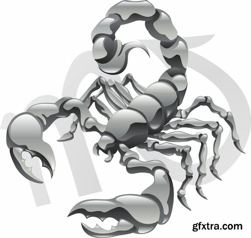 Collection scorpion sting venom arthropod chitin armor carapace vector image 25 EPS