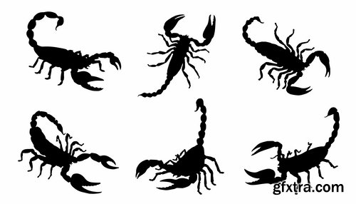 Collection scorpion sting venom arthropod chitin armor carapace vector image 25 EPS