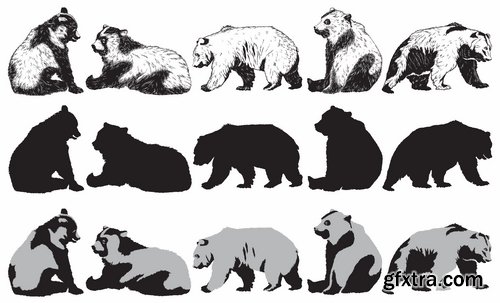 Collection polar bear brown grizzly teddy icon for children book illustration 25 EPS