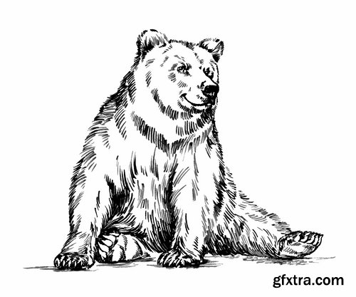 Collection polar bear brown grizzly teddy icon for children book illustration 25 EPS