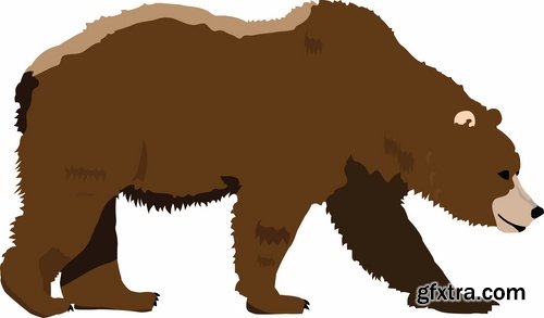 Collection polar bear brown grizzly teddy icon for children book illustration 25 EPS