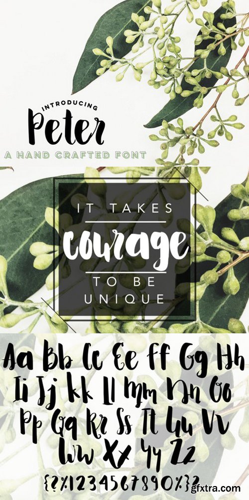 CM - Peter Script Font 974990