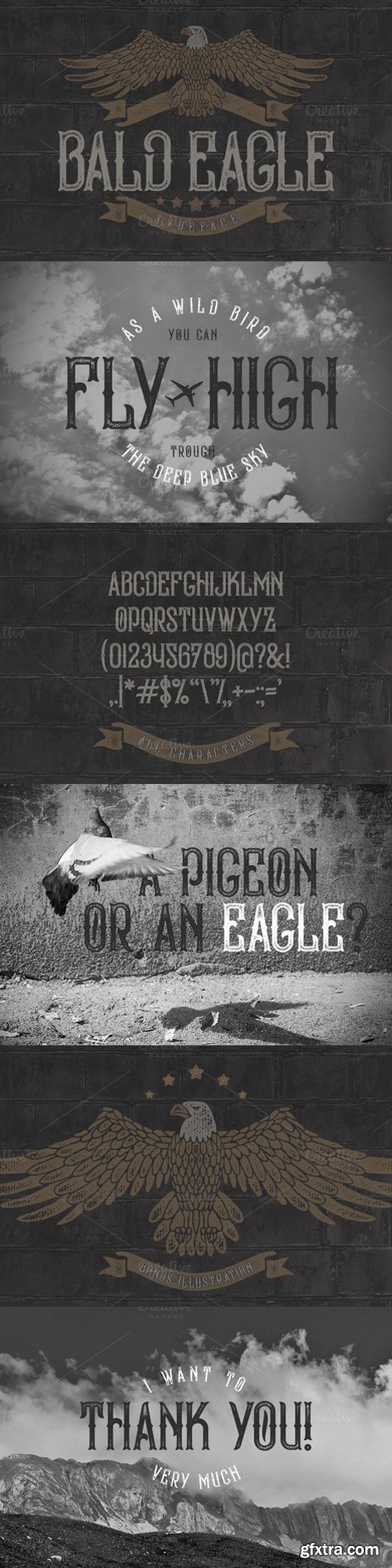 CM - Bald Eagle Typeface 804690