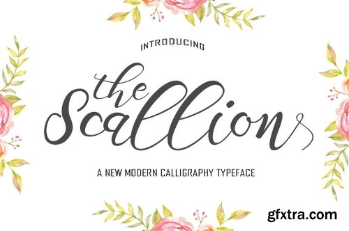 CreativeMarket Scallion 882667