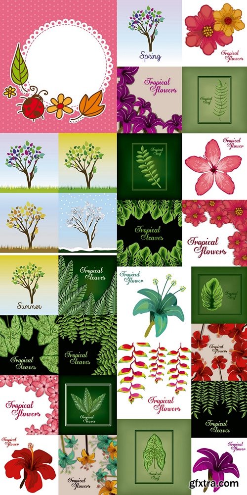 Flowers, plants, backgrounds, tropical plants part 2