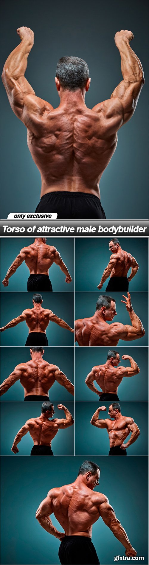 Torso of attractive male bodybuilder - 10 UHQ JPEG