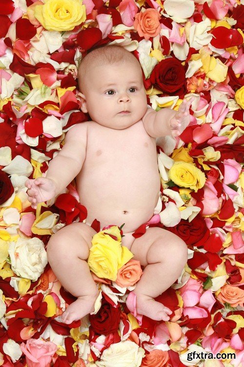 Baby and rose petals - 5 UHQ JPEG