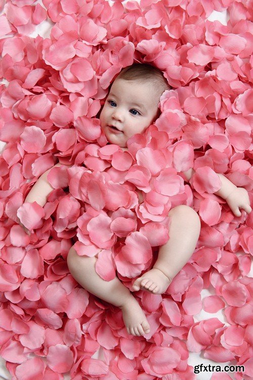 Baby and rose petals - 5 UHQ JPEG