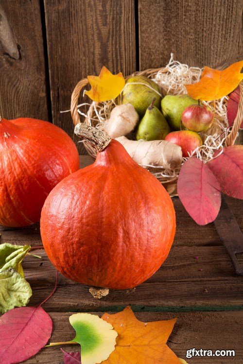 Cornucopia - Pumpkin & Apfel Basket - 29xUHQ JPEG