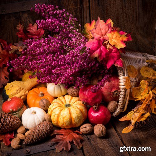 Cornucopia - Pumpkin & Apfel Basket - 29xUHQ JPEG