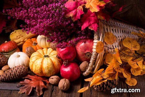 Cornucopia - Pumpkin & Apfel Basket - 29xUHQ JPEG