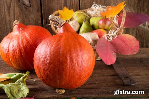 Cornucopia - Pumpkin & Apfel Basket - 29xUHQ JPEG