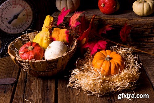 Cornucopia - Pumpkin & Apfel Basket - 29xUHQ JPEG