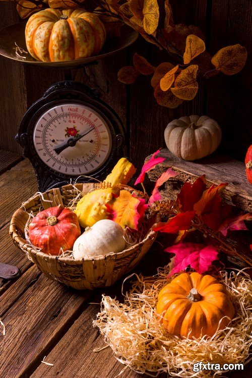 Cornucopia - Pumpkin & Apfel Basket - 29xUHQ JPEG