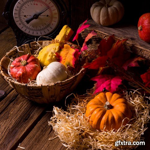 Cornucopia - Pumpkin & Apfel Basket - 29xUHQ JPEG