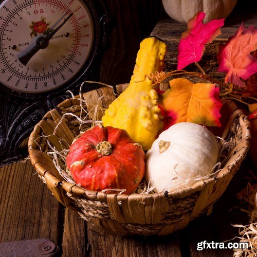 Cornucopia - Pumpkin & Apfel Basket - 29xUHQ JPEG