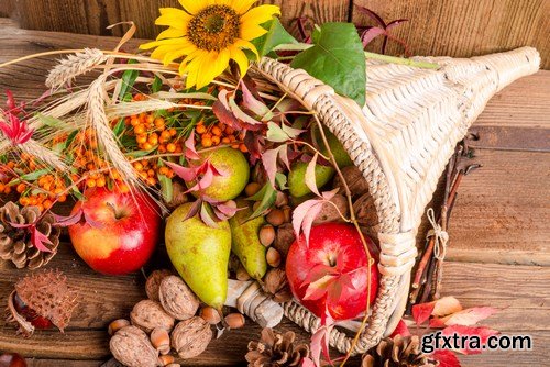 Cornucopia - Pumpkin & Apfel Basket - 29xUHQ JPEG