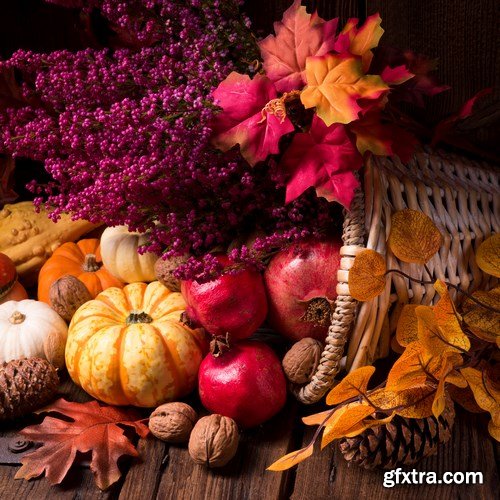 Cornucopia - Pumpkin & Apfel Basket - 29xUHQ JPEG