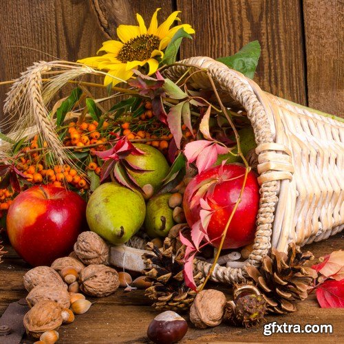 Cornucopia - Pumpkin & Apfel Basket - 29xUHQ JPEG