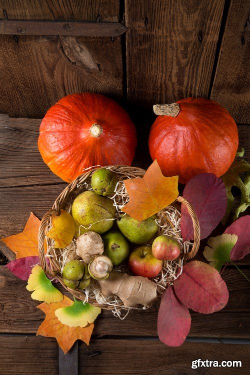 Cornucopia - Pumpkin & Apfel Basket - 29xUHQ JPEG