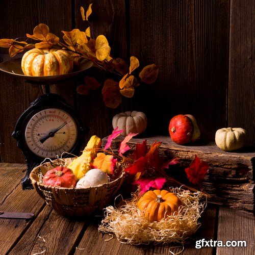 Cornucopia - Pumpkin & Apfel Basket - 29xUHQ JPEG