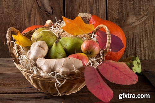 Cornucopia - Pumpkin & Apfel Basket - 29xUHQ JPEG