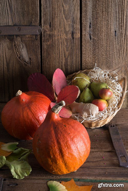 Cornucopia - Pumpkin & Apfel Basket - 29xUHQ JPEG