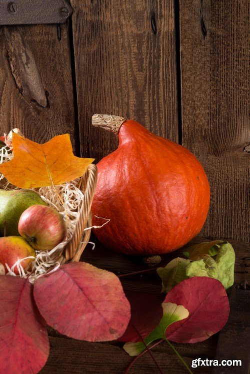 Cornucopia - Pumpkin & Apfel Basket - 29xUHQ JPEG