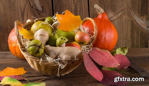 Cornucopia - Pumpkin & Apfel Basket - 29xUHQ JPEG