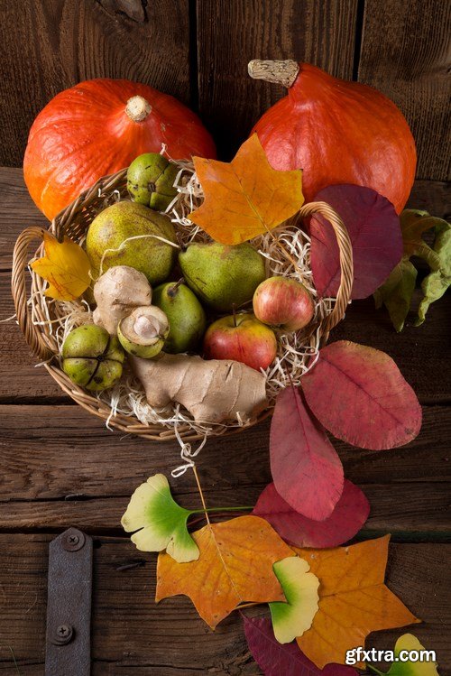 Cornucopia - Pumpkin & Apfel Basket - 29xUHQ JPEG