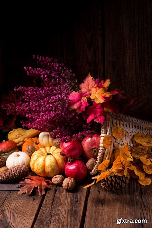 Cornucopia - Pumpkin & Apfel Basket - 29xUHQ JPEG