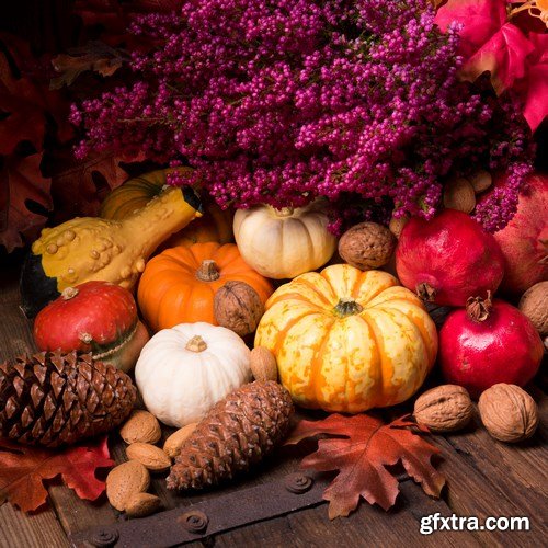 Cornucopia - Pumpkin & Apfel Basket - 29xUHQ JPEG