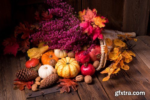 Cornucopia - Pumpkin & Apfel Basket - 29xUHQ JPEG