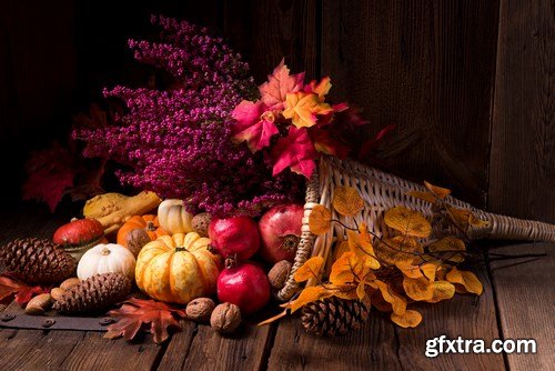 Cornucopia - Pumpkin & Apfel Basket - 29xUHQ JPEG