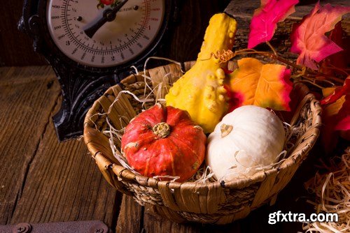 Cornucopia - Pumpkin & Apfel Basket - 29xUHQ JPEG