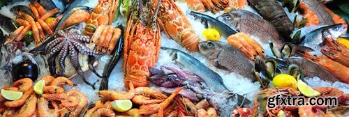 Collection of seafood dish Omar lobster shrimp cancer red fish mussel oyster 25 HQ Jpeg