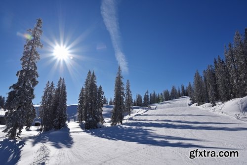 Collection of winter forest snow tree sunrise snowfall 25 HQ Jpeg